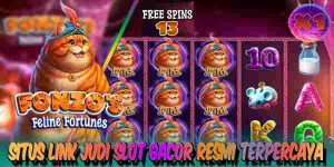 Situs Link Judi Slot Gacor Terbaik Resmi Terpercaya Fonzos Feline Fortune